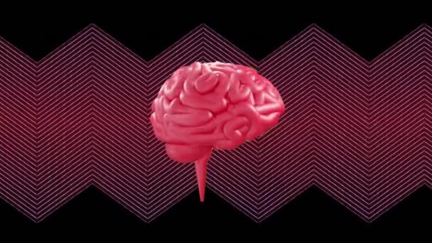 Animatie Van Menselijke Hersenen Draaien Zigzag Patroon Achtergrond Wetenschap Verbindingen — Stockvideo