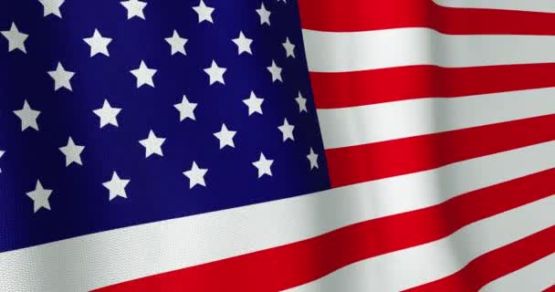 Amerikan Bayrağı Arkaplanı Sallamanın Animasyonu Amerika Demokrasi Seçimler Özgürlük Gurur — Stok video