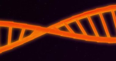 Siyah arka planda altıgen üzerinde DNA iplikçiklerinin canlandırılması. Küresel bilim, bağlantılar, hesaplama ve veri işleme kavramı dijital olarak oluşturulmuş video.