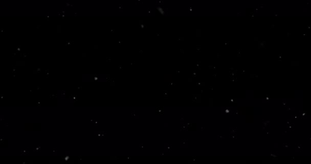Animacja Śniegu Spadającego Czarne Tło Koncepcja Sezonowego Zimowego Interfejsu Wideo — Wideo stockowe
