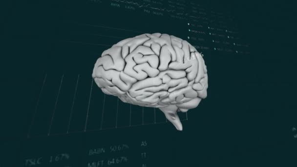 ブラックバックグラウンドでの人間の脳とデータ処理のアニメーション グローバルサイエンス コネクション コンピューティング データ処理コンセプトデジタル生成ビデオ — ストック動画