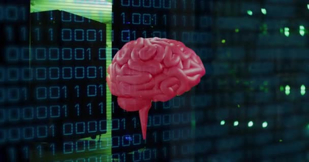 Animacja Ludzkiego Mózgu Binarne Przetwarzanie Danych Przez Serwery Komputerowe Globalne — Wideo stockowe