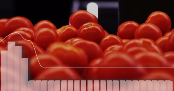 Κινούμενα Σχέδια Επεξεργασίας Δεδομένων Στο Διάγραμμα Για Τις Νωπές Ντομάτες — Αρχείο Βίντεο
