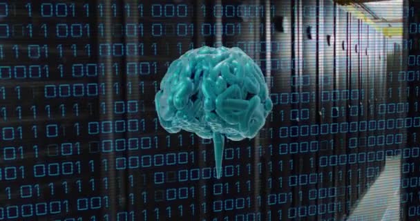 Анимирование Человеческого Мозга Обработка Данных Бинарного Кодирования Через Компьютерные Серверы — стоковое видео