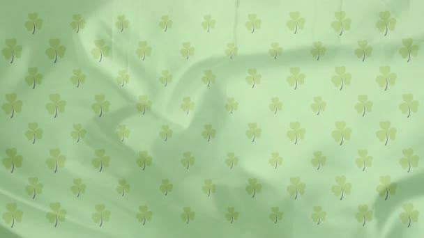 グリーンバック上のシャムロックのアニメーション セントパトリックの日とお祝いのコンセプトデジタル生成ビデオ — ストック動画