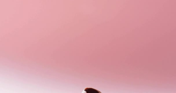 ピンクの背景にチョコレートイースターエッグを割ったハッピーイースターテキストのアニメーション イースター キリスト教 祝賀コンセプトデジタル生成ビデオ — ストック動画