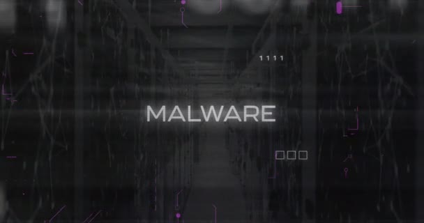 Animation Der Malware Text Und Datenverarbeitung Über Computerserver Globale Verbindungen — Stockvideo
