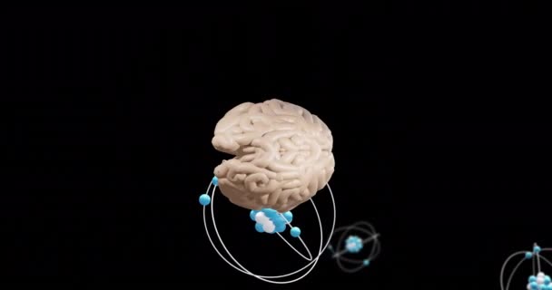 在黑色背景上对大脑和科学数据处理的动画 全球人工智能 计算和数据处理概念 — 图库视频影像