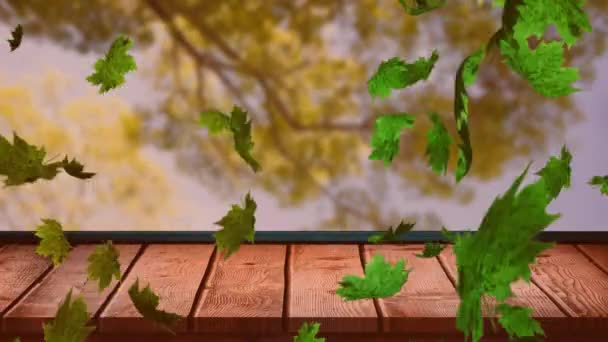 Animacja Jesiennych Liści Spadających Drzewa Drewnianą Powierzchnię Koncepcja Jesieni Jesieni — Wideo stockowe