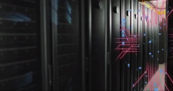 컴퓨터 서버를 디지털 데이터 기판의 애니메이션 글로벌 컴퓨팅 데이터 디지털 — 비디오