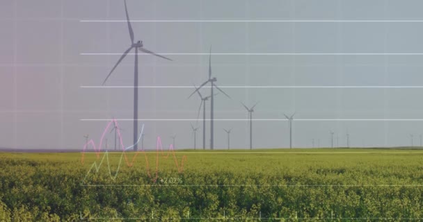 Animering Finansiell Databehandling Över Vindkraftverk Global Vindkraft Miljö Finans Affärsverksamhet — Stockvideo