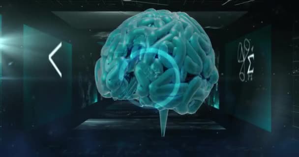 Animacja Ludzkiego Mózgu Przetwarzanie Danych Globalna Sztuczna Inteligencja Połączenia Koncepcja — Wideo stockowe