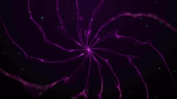 Animation Sentiers Lumière Violette Sur Fond Noir Fond Abstrait Couleurs — Video