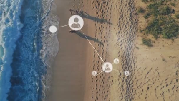 与海滨图标连接的网络动画 全球连接 计算和数据处理概念数字生成的视频 — 图库视频影像