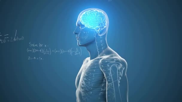 数学の方程式に対するデジタル脳のアニメーション グローバルサイエンスとデジタルインターフェースのコンセプトデジタル生成ビデオ — ストック動画