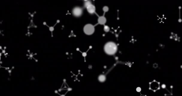 Animacja Molekuł Poruszających Się Czarnym Tle Globalna Technologia Koncepcja Cyfrowego — Wideo stockowe