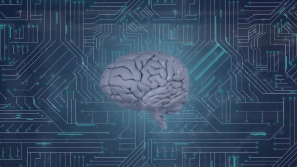 Animacja Sieci Połączeń Mózgu Niebieskim Tle Globalna Technologia Koncepcja Cyfrowego — Wideo stockowe