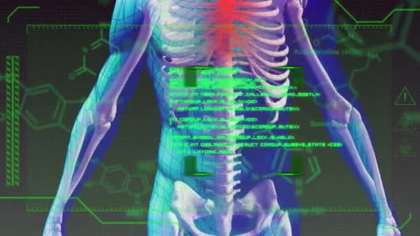 Animatie Van Draaiend Skelet Gegevensverwerking Wereldwijd Concept Voor Wetenschap Digitale — Stockvideo
