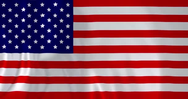 Animatie Van Zwaaiende Verenigde Staten Van Amerika Vlag Volledige Frame — Stockvideo