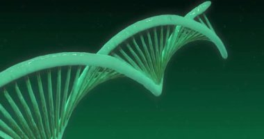 Animation of dna strand over black background. Global science and digital interface concept digitally generated video.