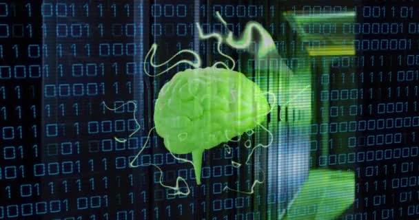 人間の脳とバイナリコーディングデータのアニメーションは コンピュータサーバーを介して処理します グローバルの人工サーバー コンピューティング データ処理のコンセプトをデジタル生成したビデオ — ストック動画