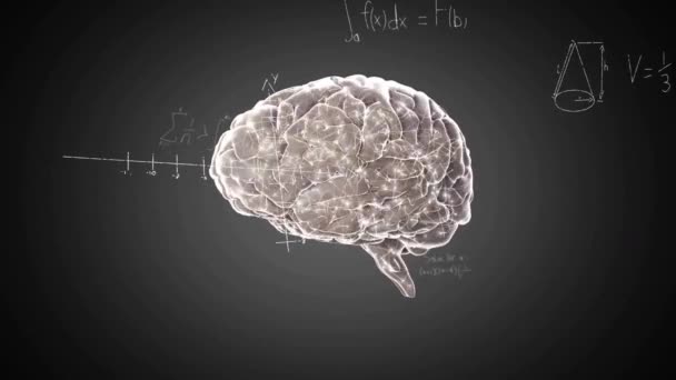 在数学方程之上旋转大脑的动画 全球科学和数字接口概念数字生成视频 — 图库视频影像