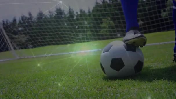 Sahada Topla Koşan Beyaz Erkek Futbolcu Üzerinden Bağlantı Ağının Animasyonu — Stok video