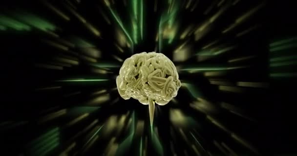 Animación Del Cerebro Procesamiento Datos Sobre Fondo Placa Circuito Inteligencia — Vídeos de Stock