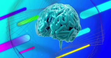 Renkli şekiller üzerinde dönen mavi beynin animasyonu ve mavinin üzerinde 3D ağ yapısı. Soyut, veri, ağ, ai, işleme, zeka, bağlantı ve iletişim, dijital olarak oluşturulmuş video.