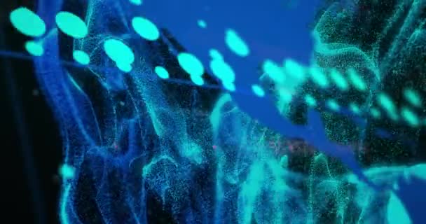Анимация Обработки Потока Данных Синей Карте Мира Сетевым Волнам Черном — стоковое видео