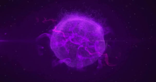 Animation Sentiers Lumineux Violet Lumineux Déplaçant Sur Boucle Transparente Sur — Video