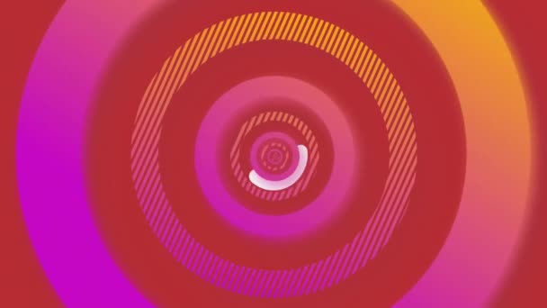 Animacja Różowego Czerwonego Koncentrycznego Przetwarzania Pierścieni Ładujących Dane Połączenie Dane — Wideo stockowe