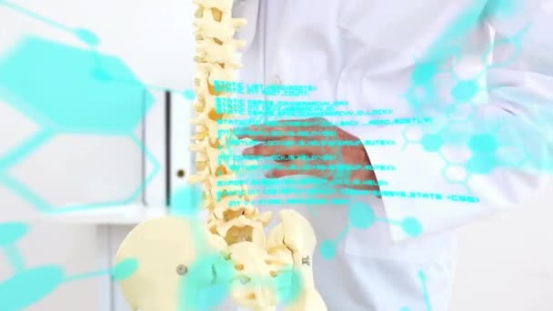 Kafkas Erkek Doktorun Omurgasını Açıklayan Orta Bölümündeki Tıbbi Veri Işleme — Stok video