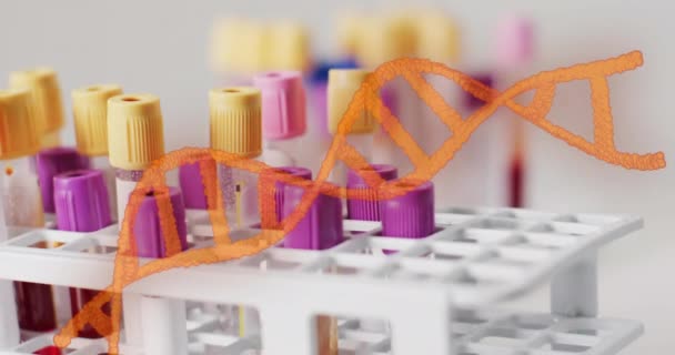 Animation Orange Dna Strand Blood Sample Test Tubes Rack Data — Stock Video