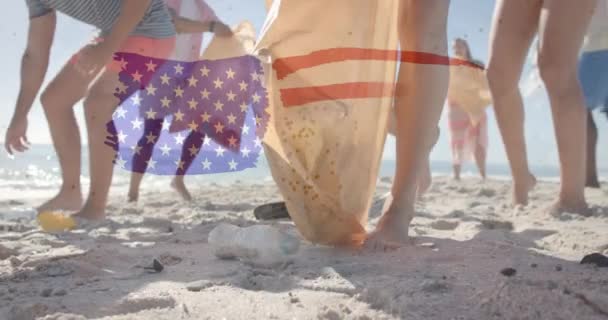 夏のビーチでリサイクルする幸せな多様な友人以上にアメリカの国旗のアニメーション アメリカの愛国心 多様性 休暇の概念がデジタル生成されたビデオ — ストック動画