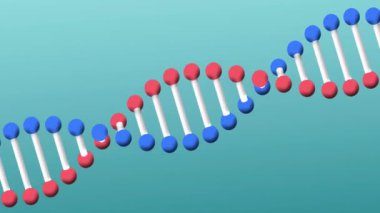 Mavi arka planda dönen DNA iplikçiklerinin animasyonu. Bilim ve araştırma konsepti dijital olarak oluşturulmuş video.
