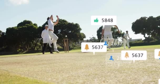 Çeşitli Erkek Kriket Oyuncuları Üzerinde Ikonlar Veri Işleme Animasyonları Küresel — Stok video
