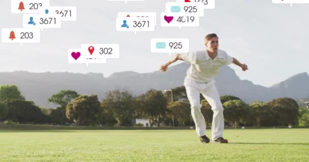 Animering Ikoner Och Databehandling Över Kaukasiska Manliga Cricket Spelare Globala — Stockvideo