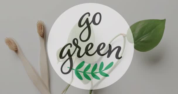 Tahta Diş Fırçaları Gri Yapraklar Üzerinde Yeşil Metin Yaprak Logosu — Stok video