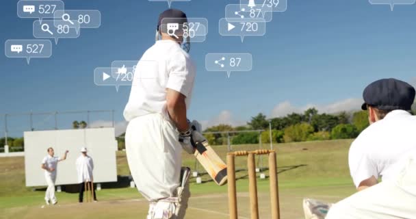 Animatie Van Pictogrammen Gegevensverwerking Diverse Mannelijke Cricket Spelers Mondiale Sport — Stockvideo