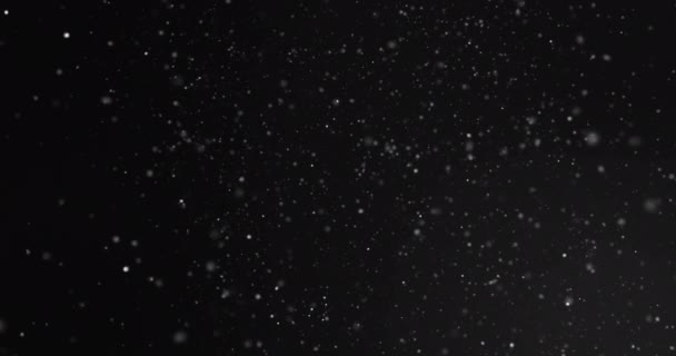 Анімація Пульсуючих Плям Світла Чорному Тлі Концепція Візерунка Світла Кольору — стокове відео