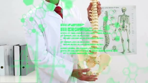 Kafkas Erkek Doktorun Omurgasını Açıklayan Orta Bölümündeki Tıbbi Veri Işleme — Stok video