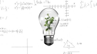 Matematiksel veri işleme animasyonu ampulün üzerinde bitkiyle birlikte. Küresel bilim, bağlantılar, hesaplama ve veri işleme kavramı dijital olarak oluşturulmuş video.