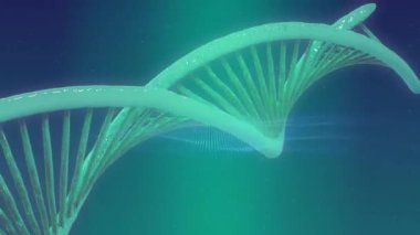 DNA ipliği üzerinde bilimsel veri işleme animasyonu. Küresel bilim, bağlantılar, hesaplama ve veri işleme kavramı dijital olarak oluşturulmuş video.