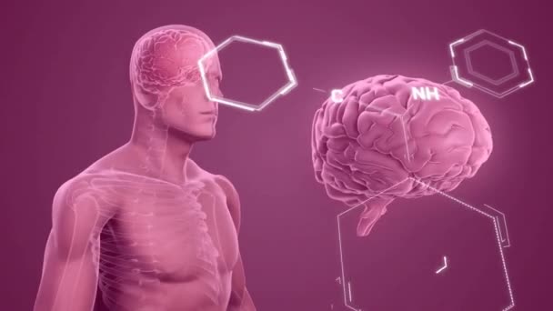 在大脑和男性X射线扫描上绘制元素图的动画 医学研究 数字接口 数据和通信 数字视频 — 图库视频影像