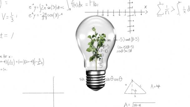 Animation Traitement Données Mathématiques Sur Ampoule Avec Plante Concept Mondial — Video