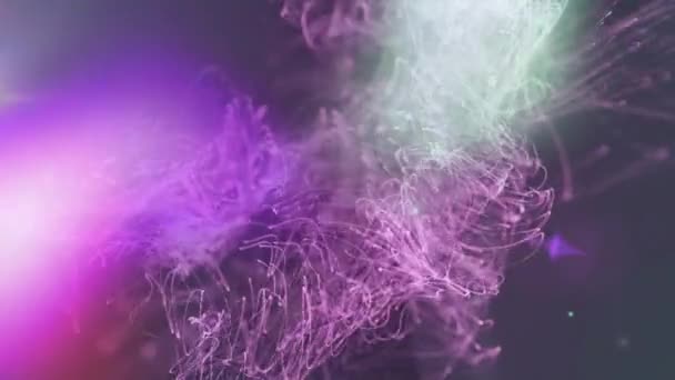 Animatie Van Lichte Vlekken Paden Zwarte Achtergrond Vormen Kleuren Bewegings — Stockvideo