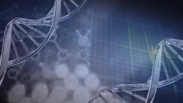 Animación Del Procesamiento Datos Científicos Sobre Hebras Adn Ciencia Global — Vídeo de stock