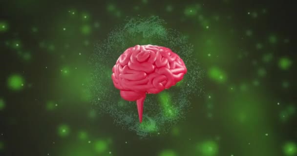 Animación Del Cerebro Digital Girando Sobre Puntos Luz Tecnología Ciencia — Vídeos de Stock