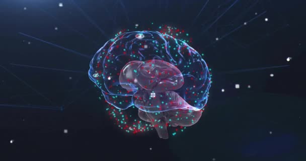 デジタル脳の回転に関する赤と白の斑点のアニメーション ビジネス テクノロジー デジタルインターフェースのコンセプトデジタル生成ビデオ — ストック動画